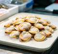 Fresh Sea Scallops: Tender, Sweet, and Perfectly Prepared